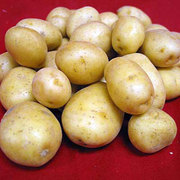 Куплю картофель