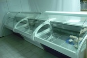 Продам две холодильные витрины «Каштак – 1, 5 с/п».