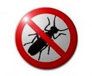 Уничтожение клопов,  муравьев,  тараканов и других насекомых